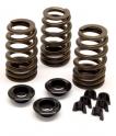Hamilton Cam Dodge 12V Valve Springs and Keepers