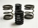5500 RPM P Pump Governor Springs
